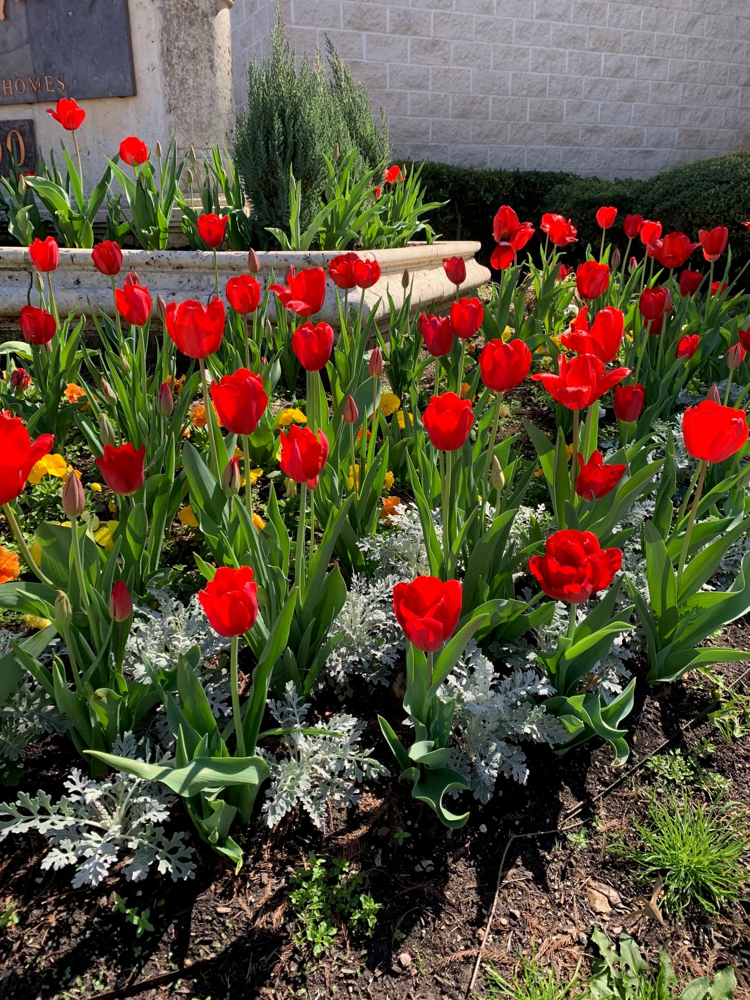 Christy Rost - Celebrating Home and Family