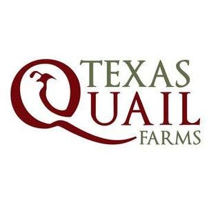 Texas Quail Farms